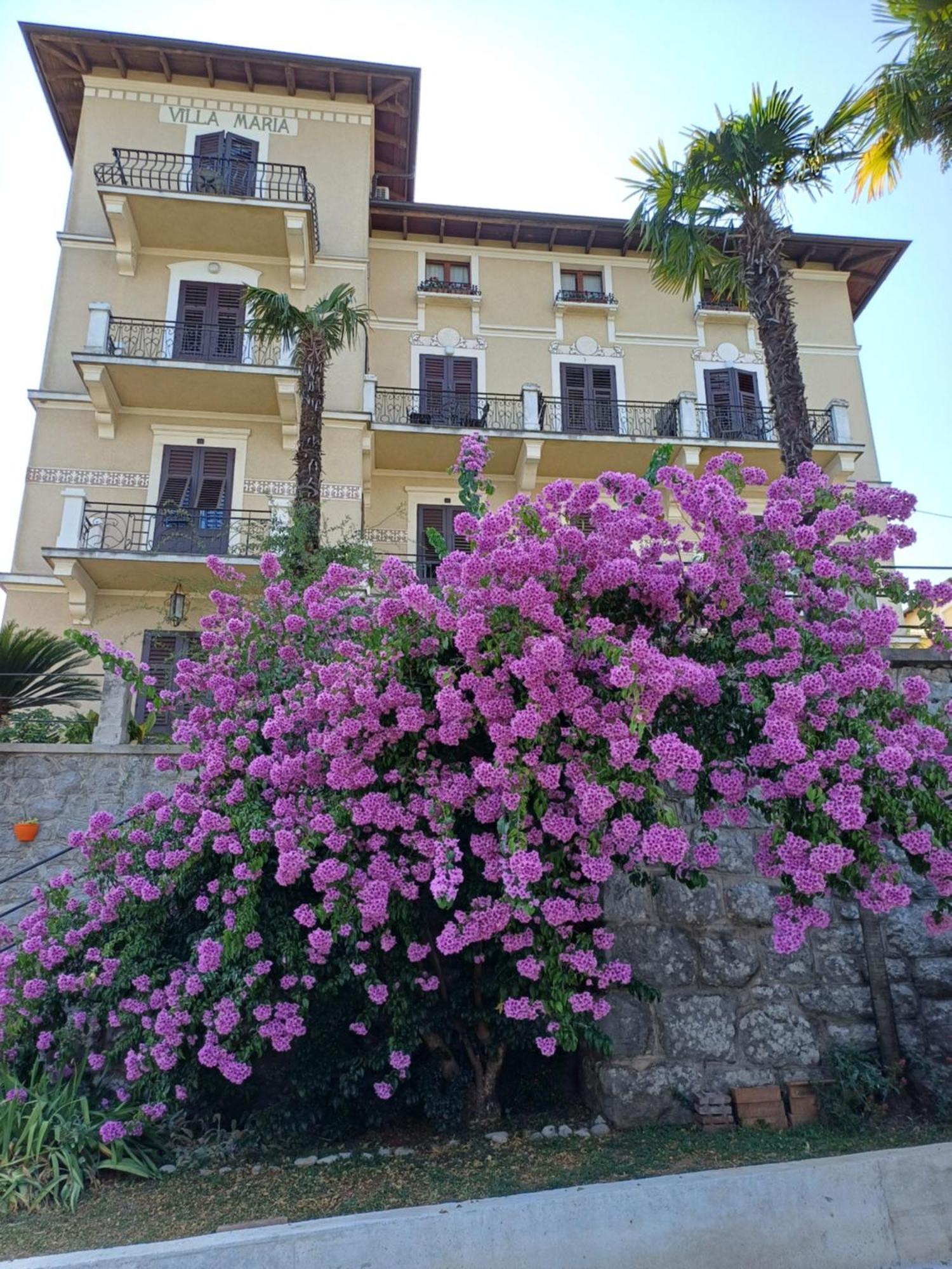 Villa Marija 로브란 외부 사진